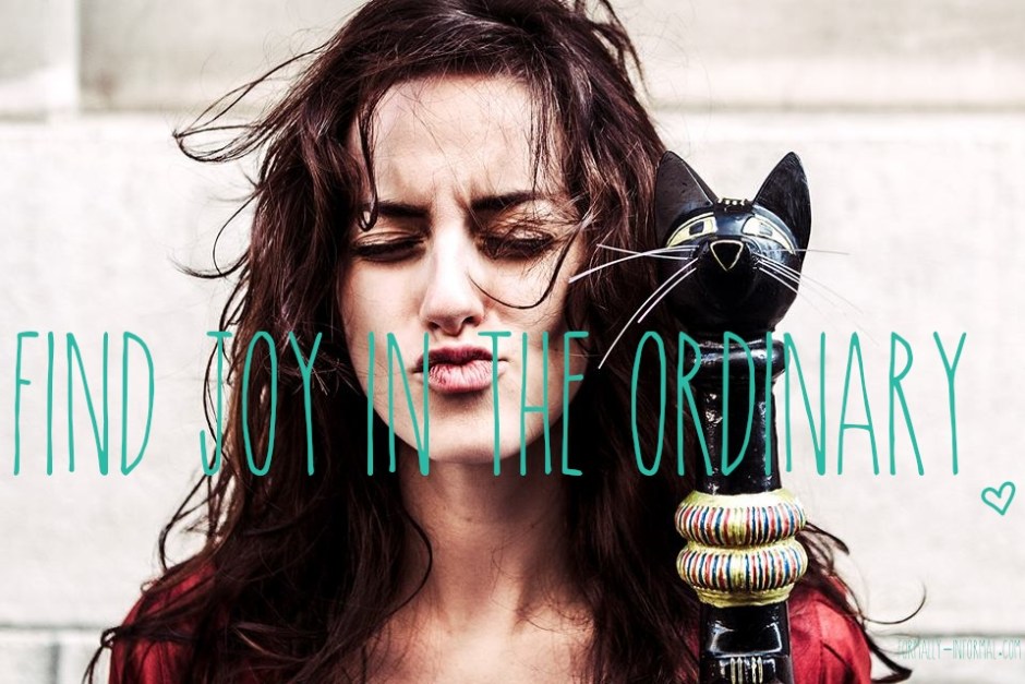 find-the-joy-in-the-ordinary-quote-heart-formally-informal-julie-houttemane
