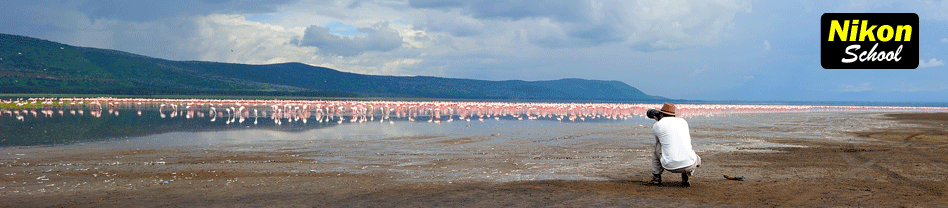 nikon school safari photo