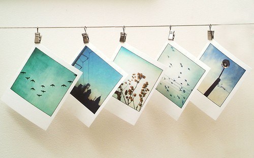 photo-print-colors-pola